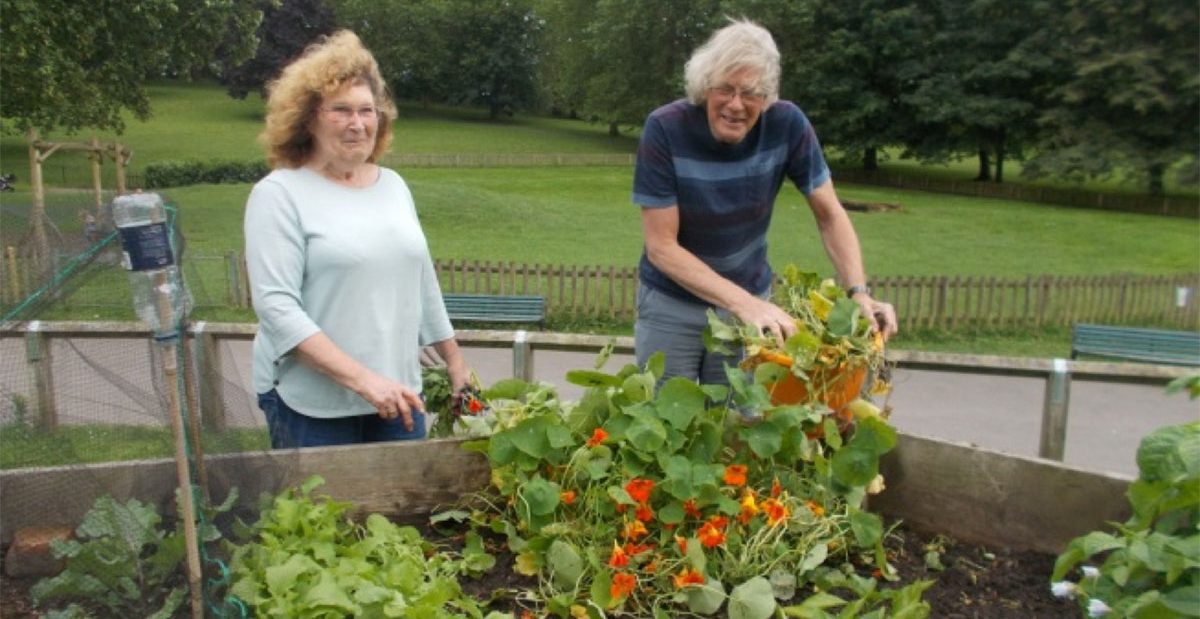 Volunteers at St George Community Garden