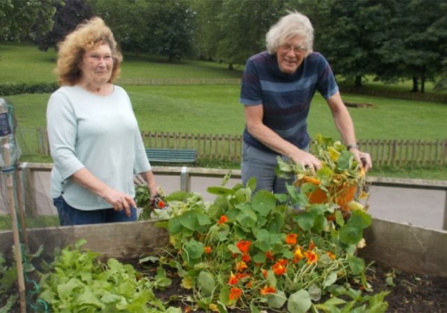 Volunteers at St George Community Garden
