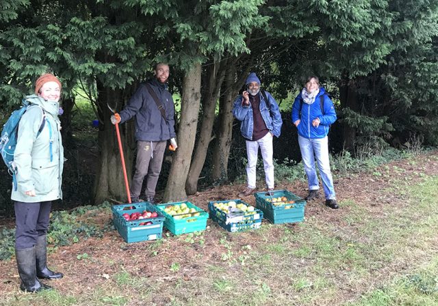 Avon Gleaning Network gleaning apples