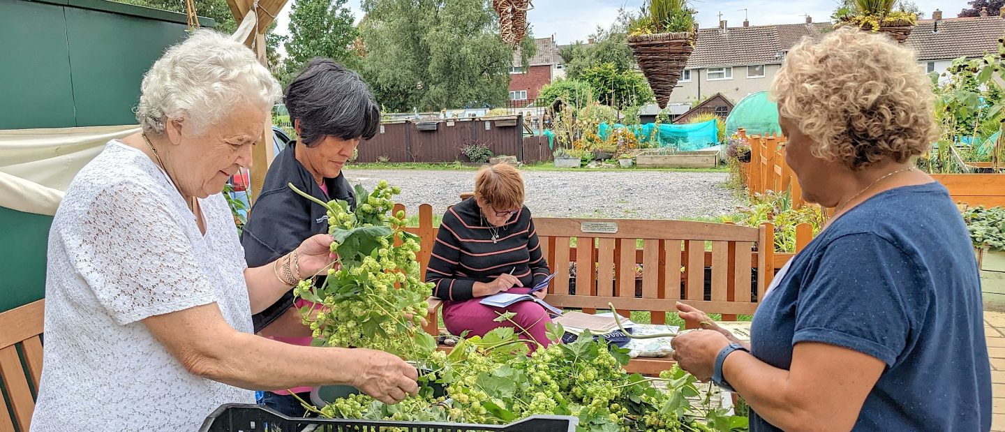 Sorting hops