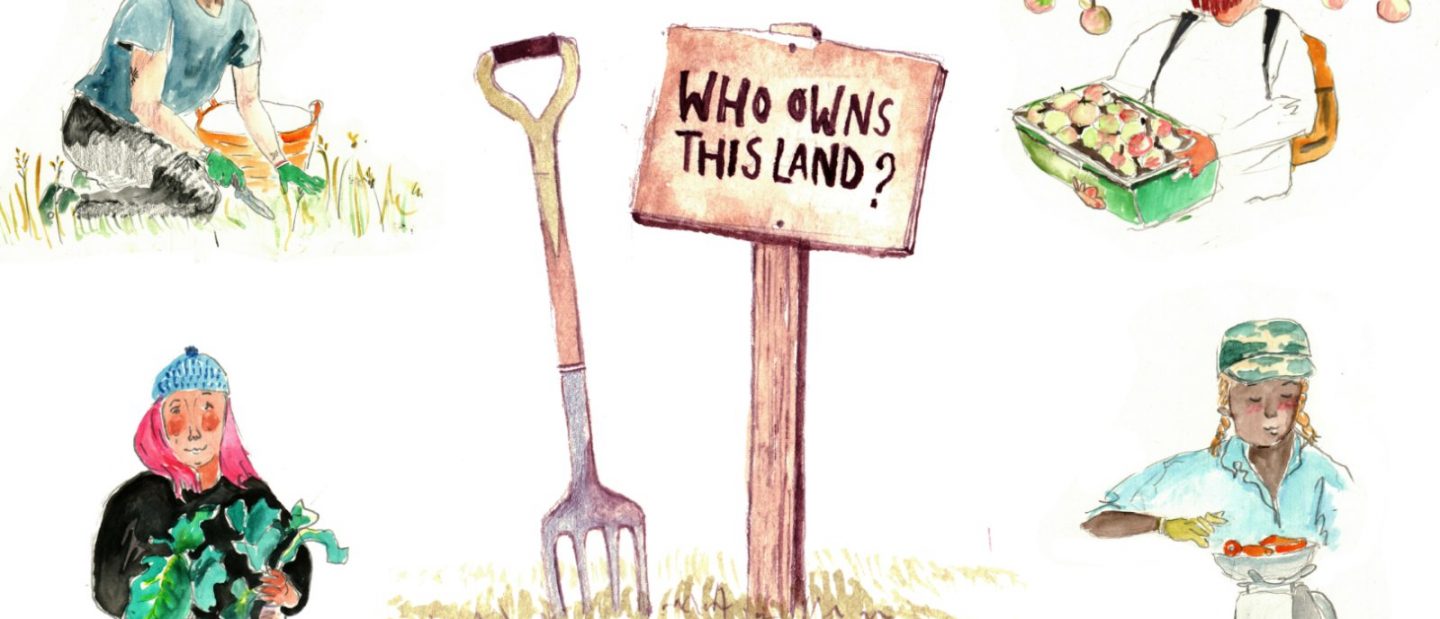 Illustrations of growers (credit: Emily Tough @weagreeoneggs)