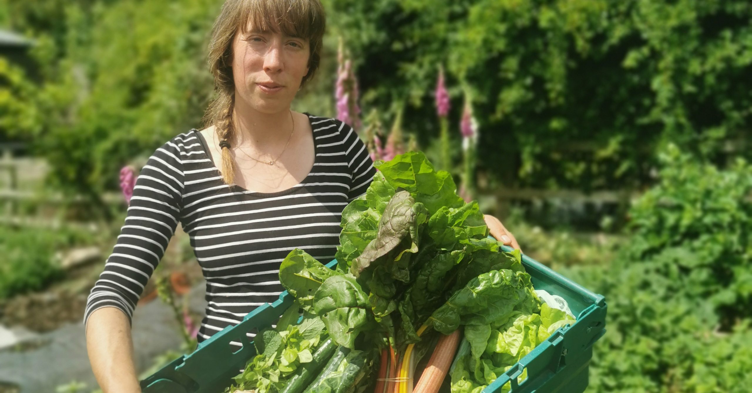 Alex from Purple Patch holding a veg box