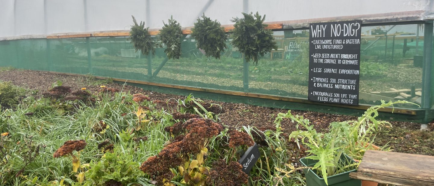 Hartcliffe City Farm vegetable beds with a 'no dig bed' sign