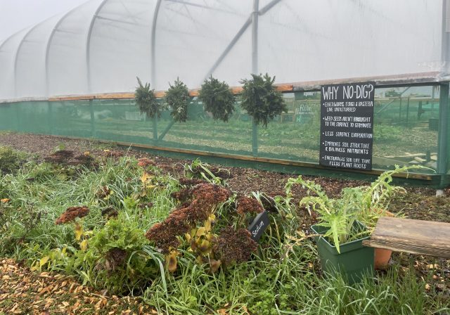 Hartcliffe City Farm vegetable beds with a 'no dig bed' sign
