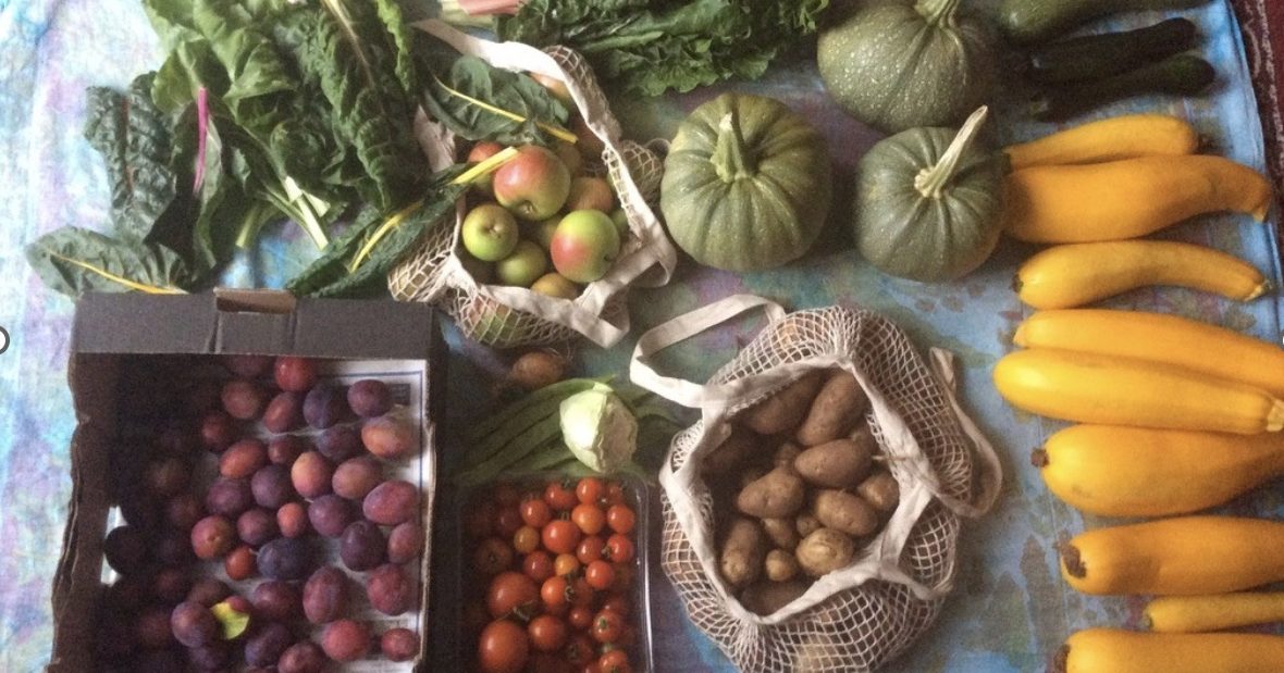 Vegetables grown at Thingwell Park Allotments