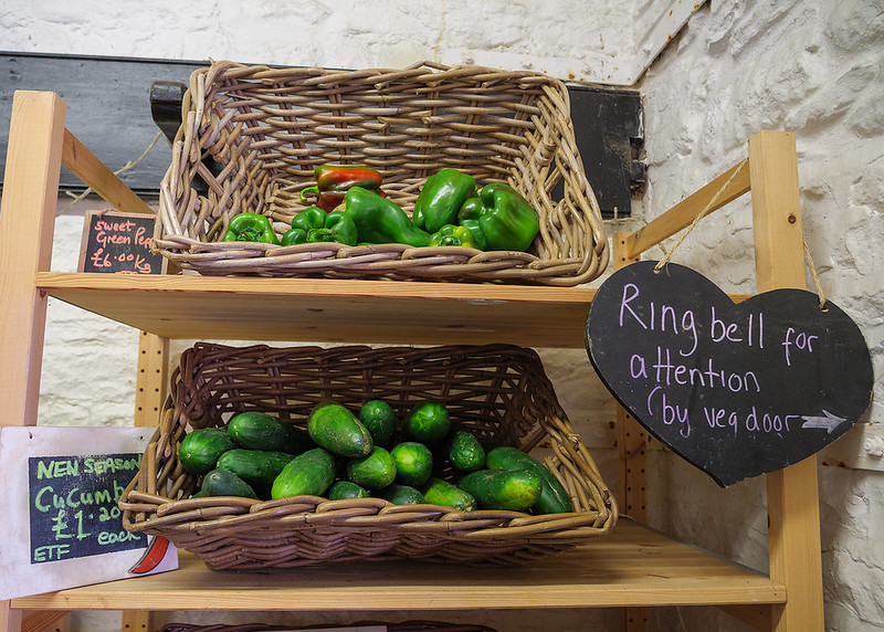 Veg for sale at Elm Tree Farm