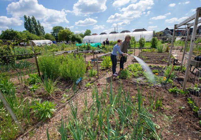 Watering plants at Grow Wilder (credit Nick Turner)