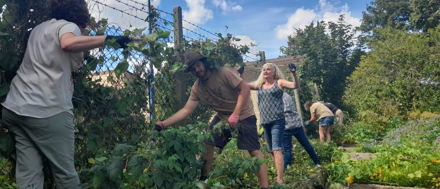 Community gardening at Lockleaze