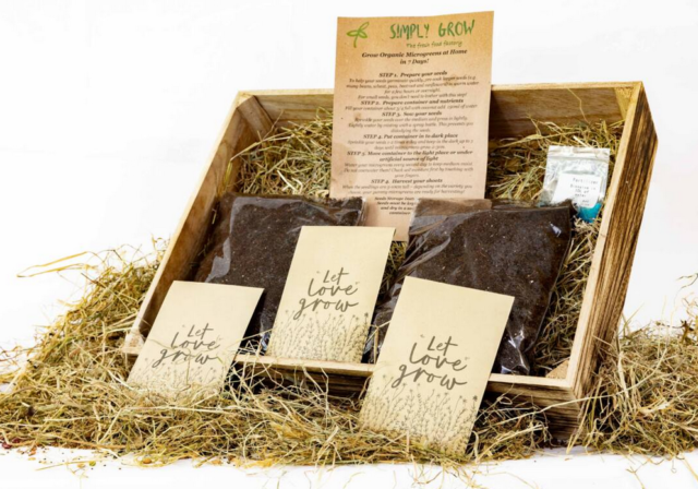 Simply grow gift box